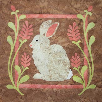 Cottontail Photo